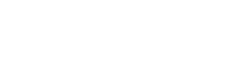 Fleximax / Logo blanco